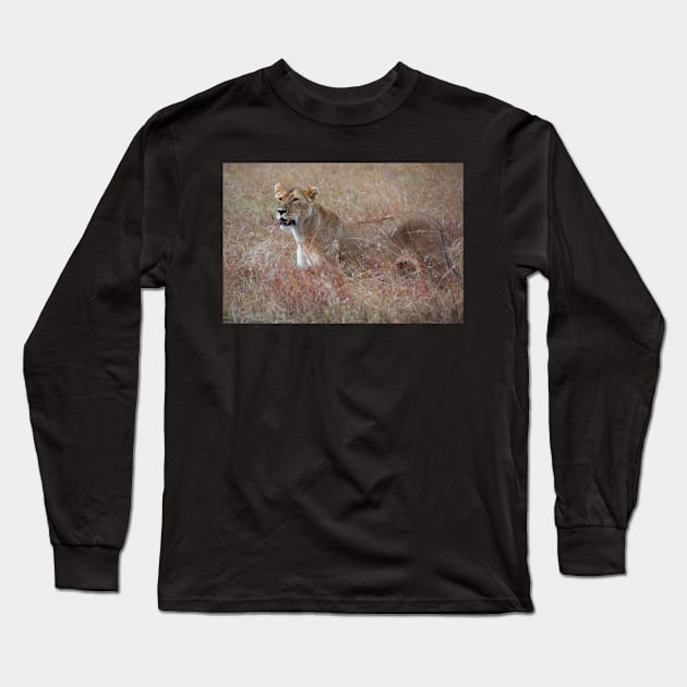 Lion in the Grass, Maasai Mara, Kenya Long Sleeve T-Shirt by Carole-Anne